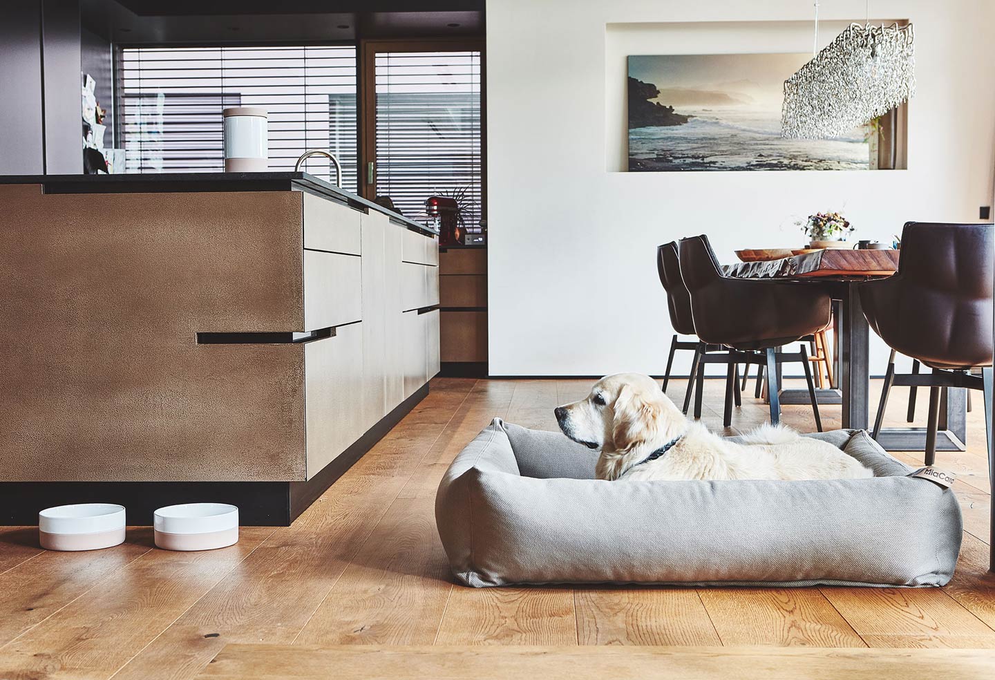 Golden Retriever in Miacara sonno box dog bed  for large size dogs.