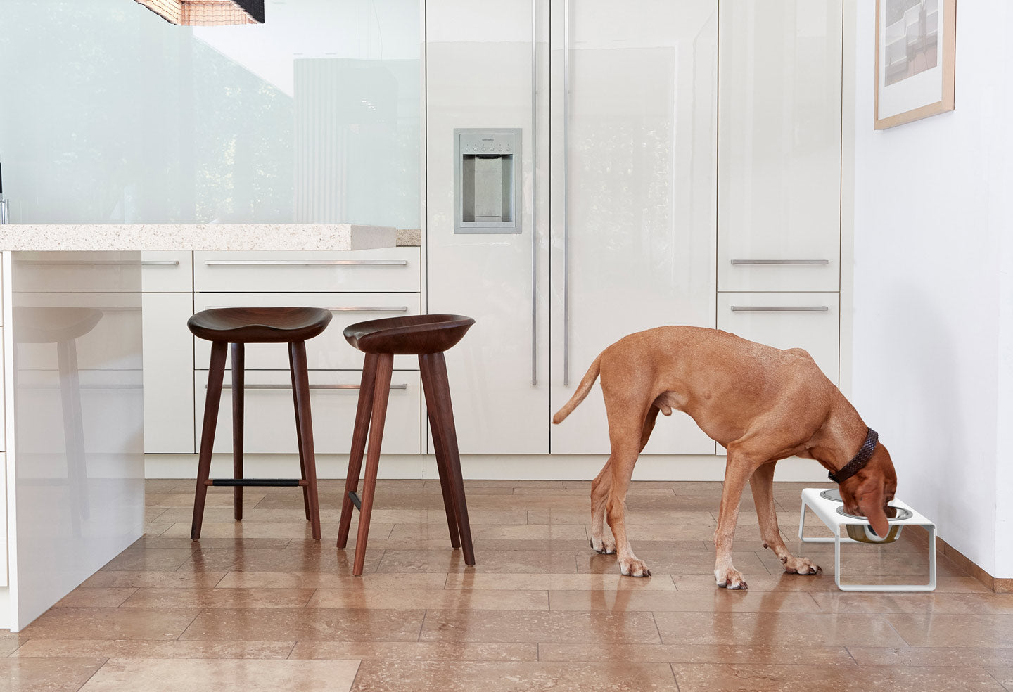 Powder coated Miacara raised dog feeder and bowls.