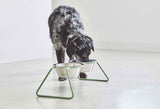 The 9 Best Elevated Dog Bowls of 2021