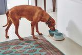 Large size Vizsla dog drinking water from modern Miacara porcelain bowl