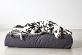 Luxury Pet Blankets by Miacara make the best gifts for dogs and cats