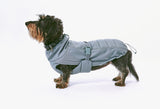 Small dog with Miacara Stefano dog coat in blue
