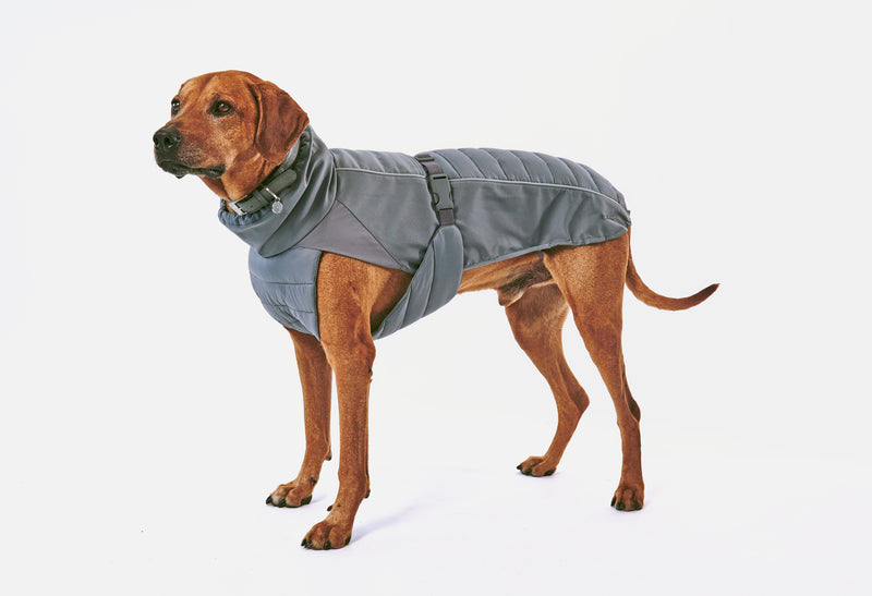 Durable and high quality dog coat from Miacara Stefano.
