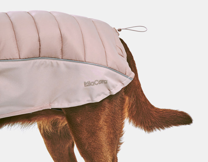 Quality dog coat from Miacara in pink color