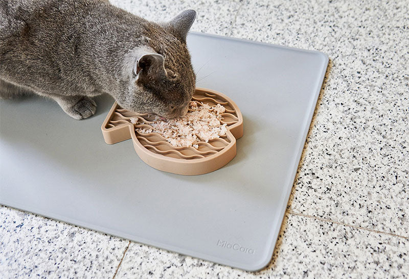 For Cats Feed Bowls To Slow Cat Eating Wet Food Bowls To Make Cats