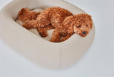 Labradoodle sleeping on modern Miacara Barca dog bed