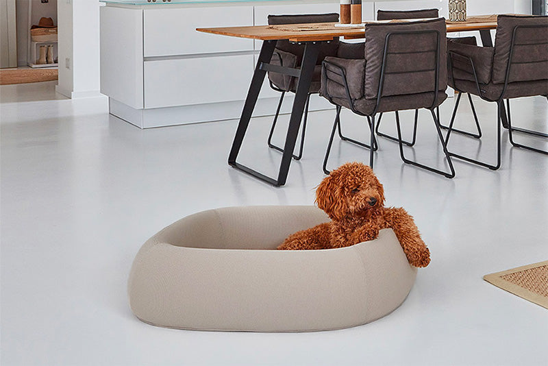 Modern miacara dog bed