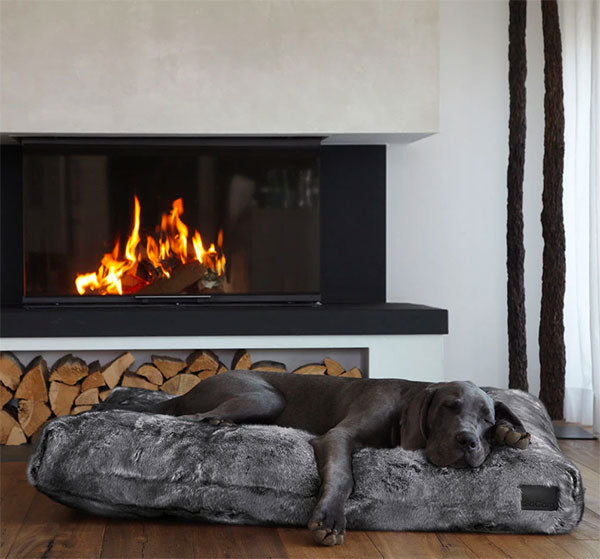 Miacara Felpa dog bed is a luxury dog bed, durable and non-chewable dog bed which is best for large and extra large dogs. 
