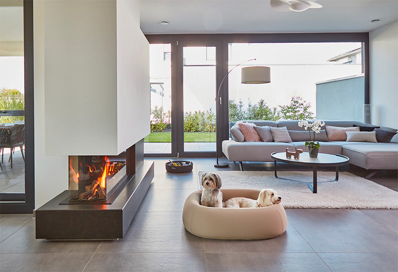 Two small dogs on a modern miacara dog bed in a contemporary interior design.