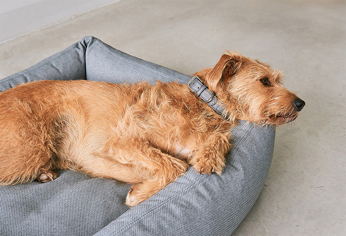 Durable mare dog bed from Miacara is ecofriendly