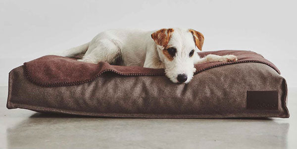 Luxury dog blanket from Miacara is perfect dog gift