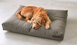 Terrier dog sleeping on a Miacara dog cushion