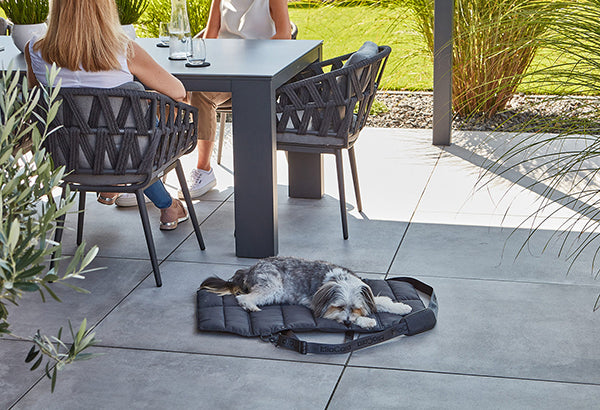 Dog travel bed and mat by Miacara