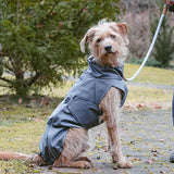 Terrier dog with Miacara Sofia soft-shell dog coat