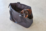 Stylish small dog carrier 