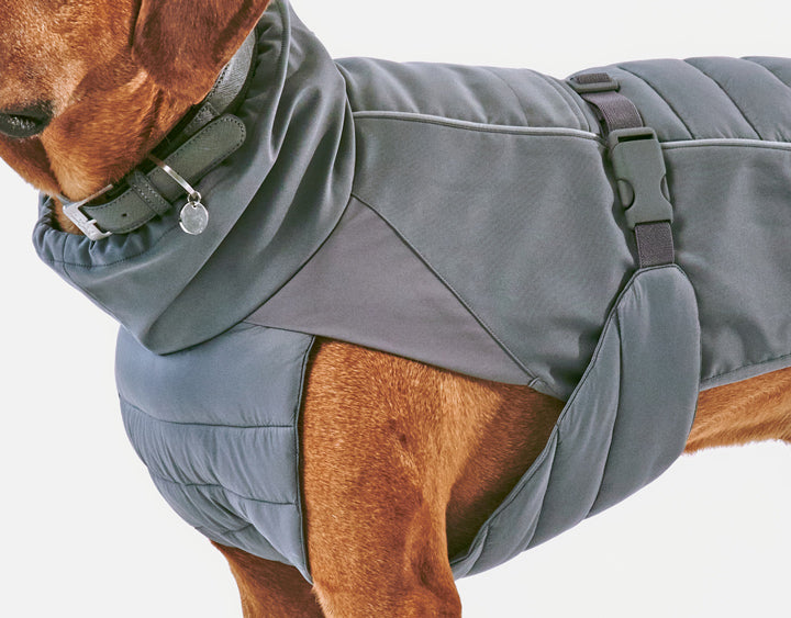 Stefano winter dog coat from Miacara