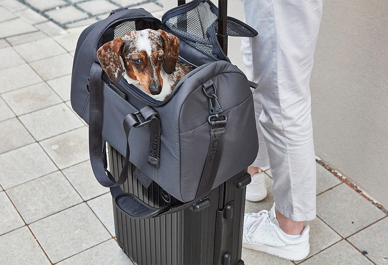 Miacara Volata Airline Pet Travel Carrier Bag