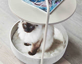 Siamese cat with blue eyes sitting in modern miacara side table cat bed