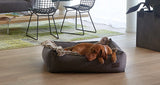 Washable modern miacara dog bed durable and indestructible