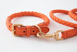 Luxurious mappa leather soft dog leash in orange color.