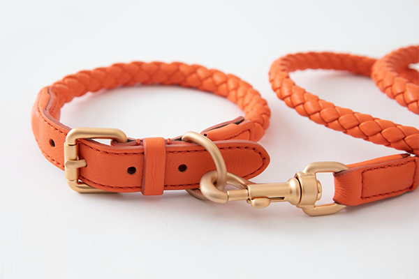 Designer-Inspired Adjustable Dog Collar & Lead Set - Luxury Hot