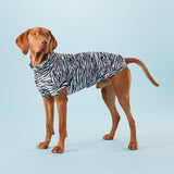 Protect your dog from sun UV rays and naturally from ticks with zebra pattern Paikka shirt
