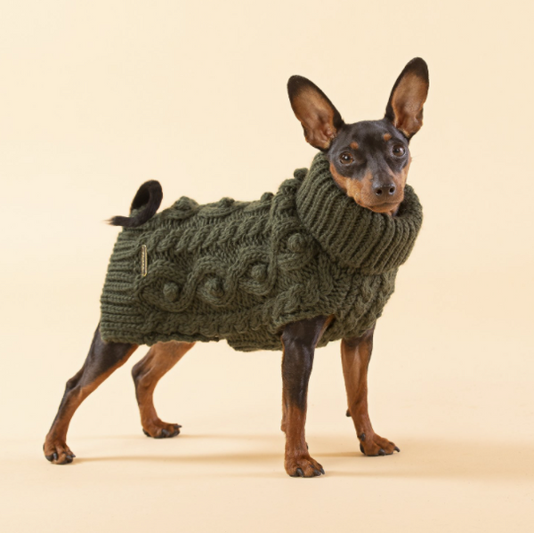 Paikka knitted dog sweater for small to large breed