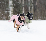 Two dogs running in the snow with Paikka Visibility Waterproof dog jackets
