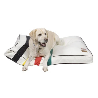 Large dog labrador breed sleeping on Pendleton dog bed  in glacier national park colors.