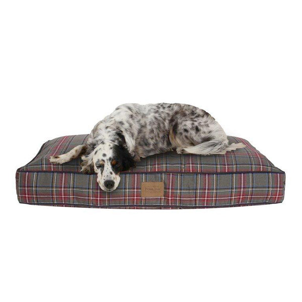 English setter large dog sleeping on Pendleton dog bed napper for dogs