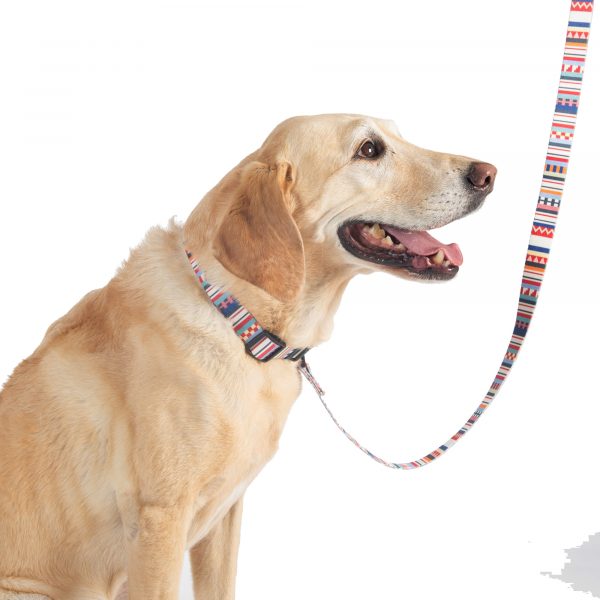 Pendleton tamiami dog collar 