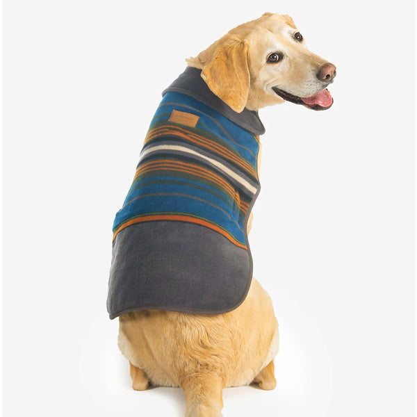 Labrador wearing a cozy winter Pendleton dog coat in Olympic National Parks pattern