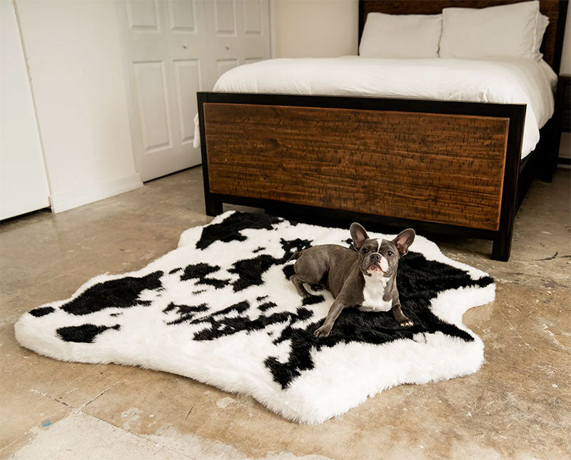 Frenchie on cowhide puprug orthopedic dog bed