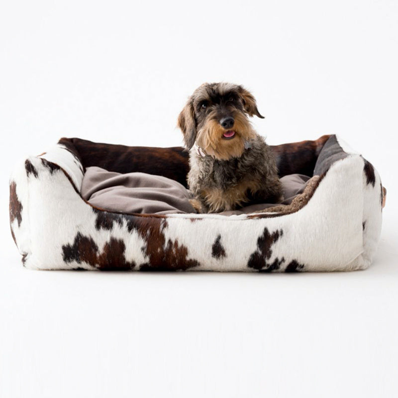 Puppy inside a farmhouse style cowhide dog bed.