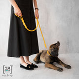 German Shepherd dog leash leather