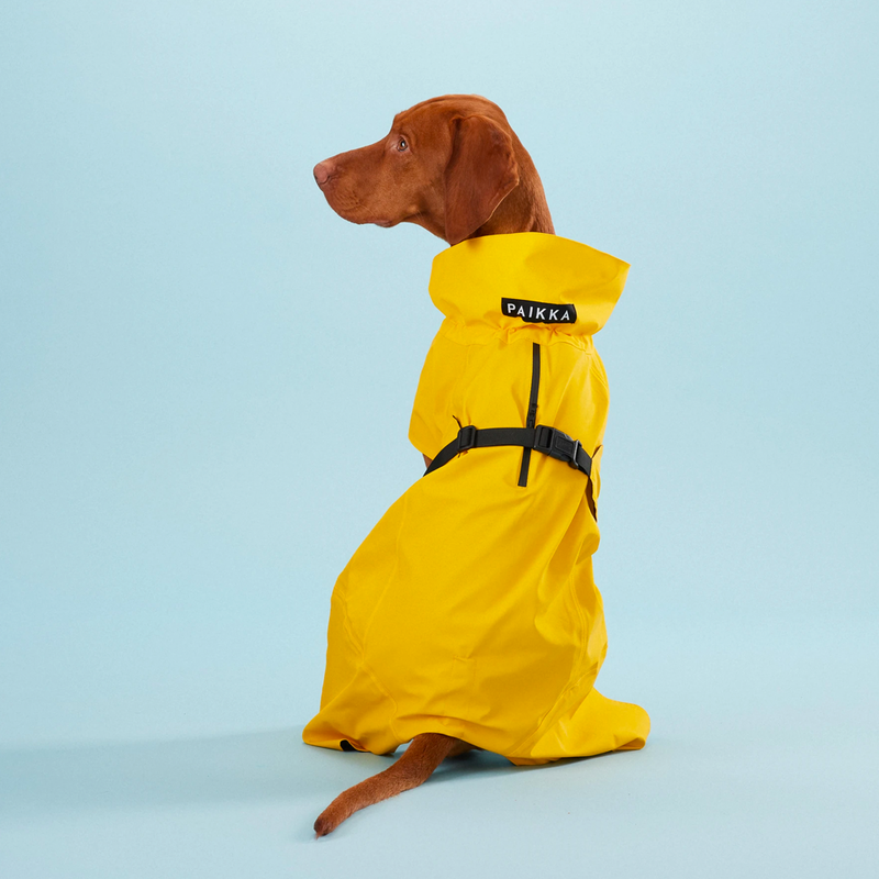 Reflective rain jacket for dogs from Paikka