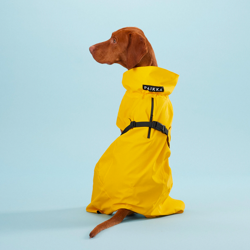Paikka visibility dog hot sale raincoat