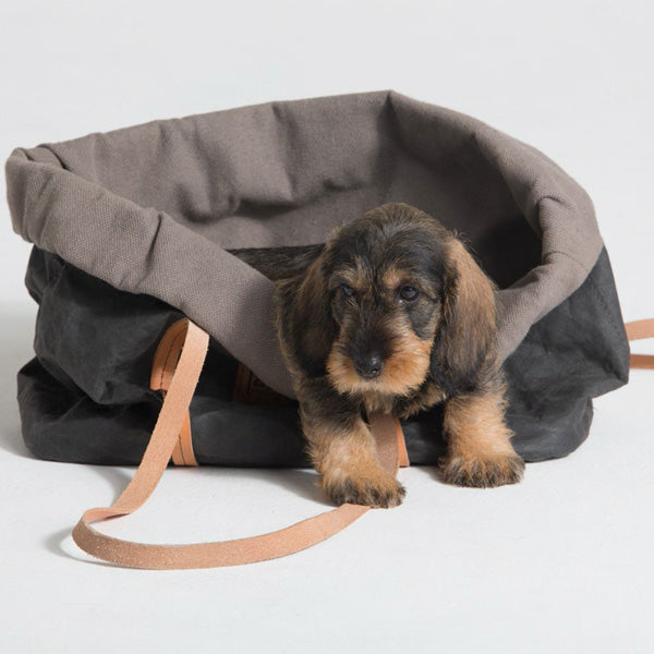 Black designer dog carrier