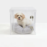 Small dog sitting in clear acrylic dog crate furniture