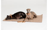 Two greyhound dogs resting on farmhouse dog travel mat