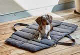 Dachshund on a dog mat to stay off the floor.