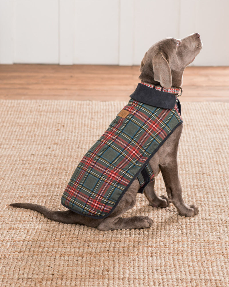 Pendleton Plaid Dog Coat For Cold Winter Days