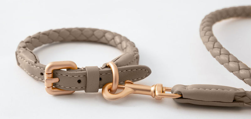 Luxury italian dog collar and leash set in nappa taupe leather