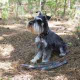 Must have Pendleton collar for hiking with your dog