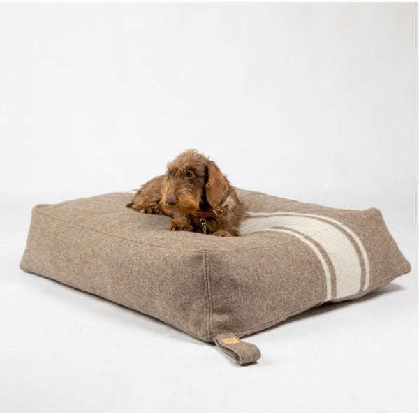 small terrier dachshund dog sitting on wool pet bed