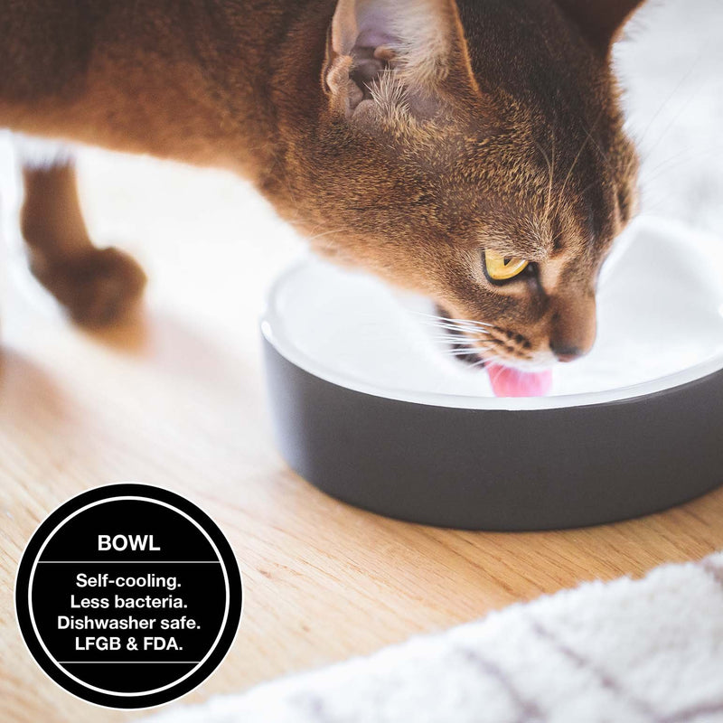 Paikka Ceramic Quality Water Bowl For Cats and Dogs