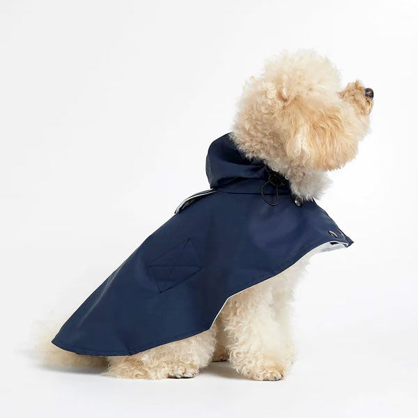 Dog with a rain cape and rain jacket in navy blue.