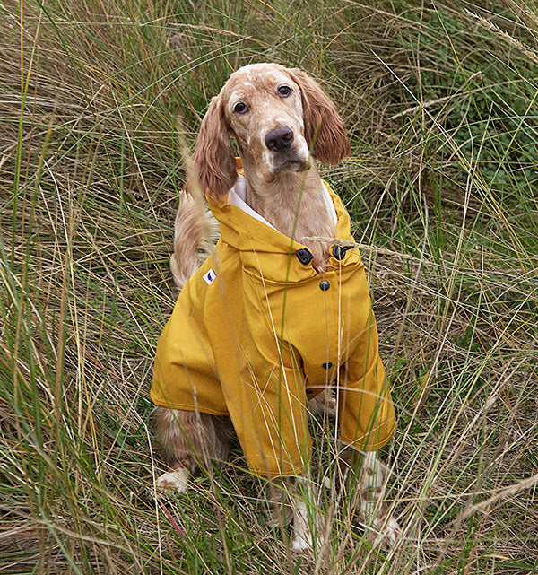 Sarah Waterproof Dog RainJacket - Yellow