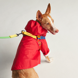 Sarah Waterproof Dog Rain Jacket - Red
