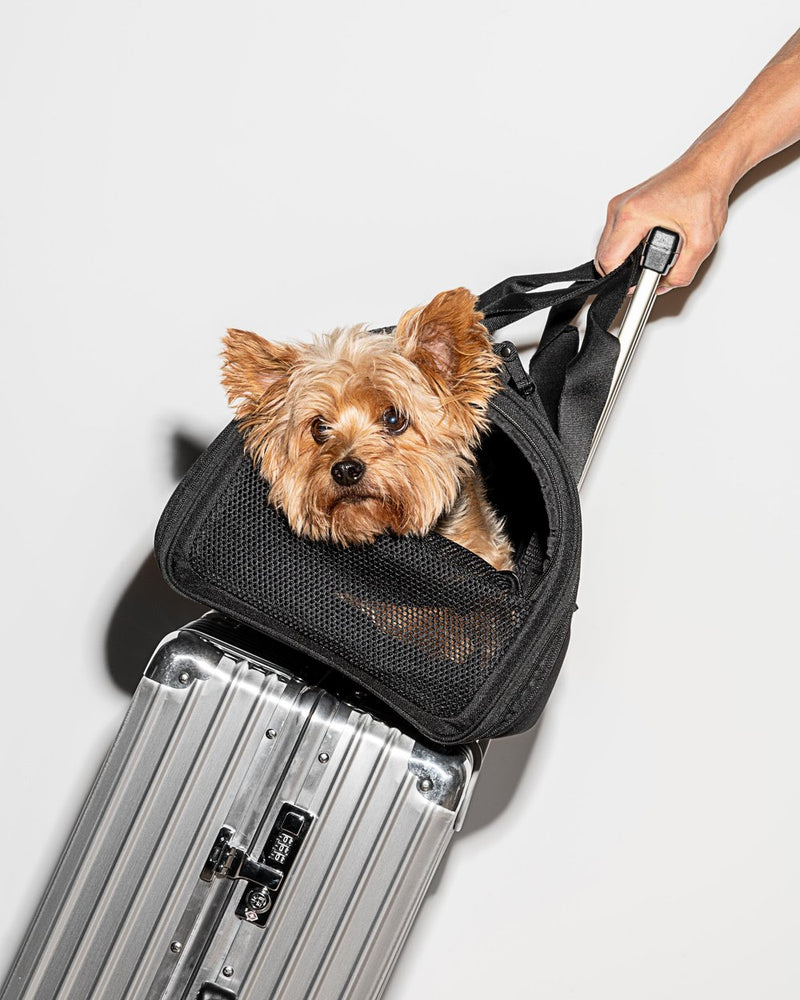 Stylish airline approved dog carrier